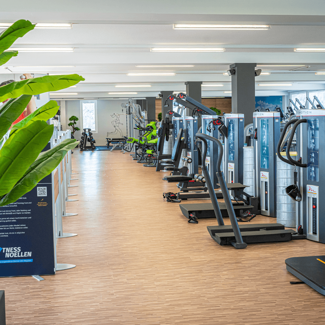 Fitness Noellen 1