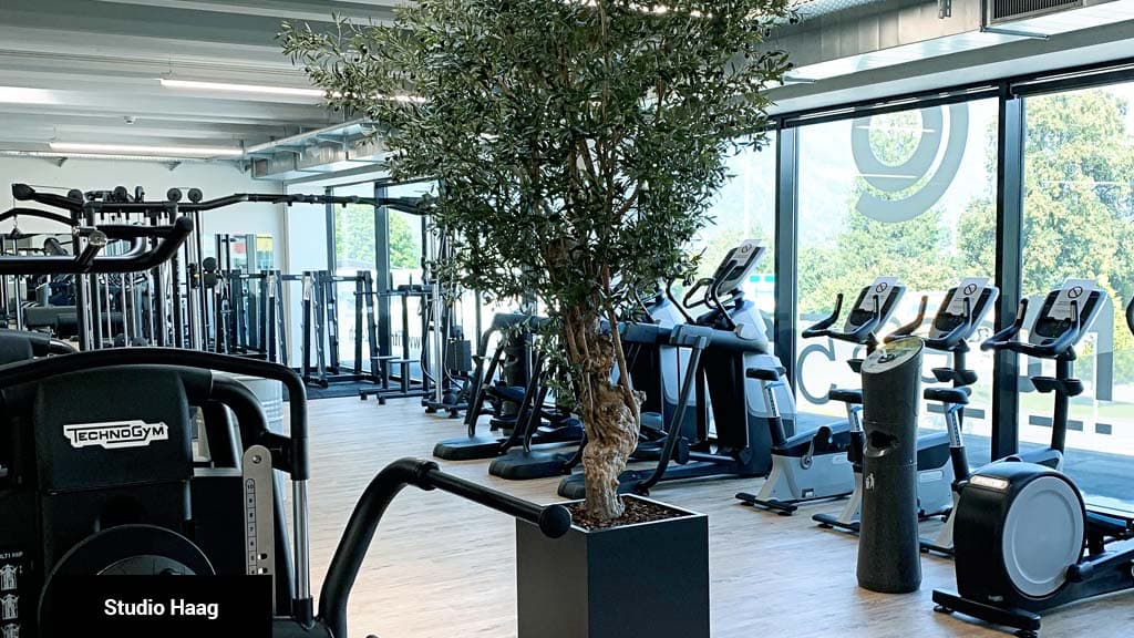 Fitnessstudio Haag
